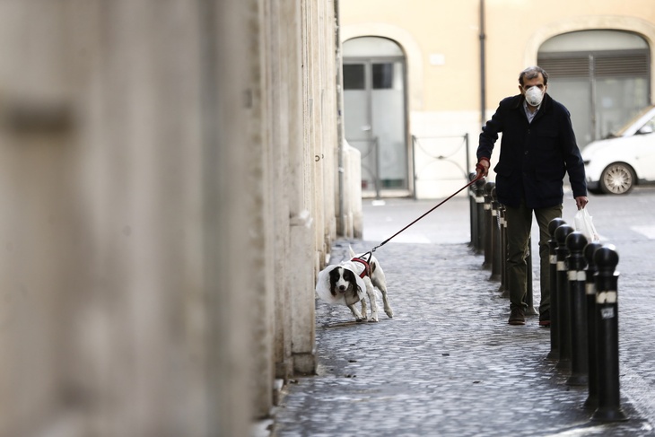 Выгул собаки. Рим, Италия. Выгул собаки. Рим, Италия.