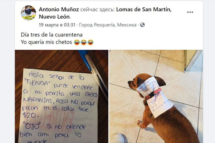 Собака с запиской