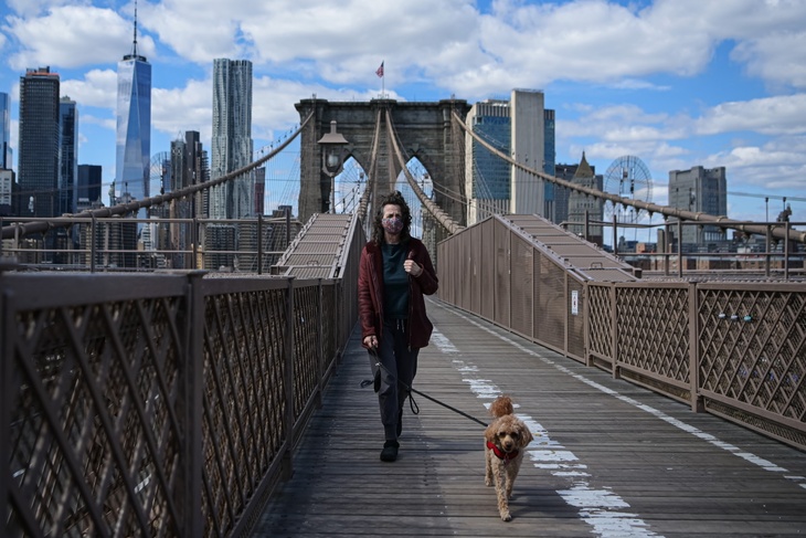 Выгул собаки. Бруклин, Нью-Йорк.