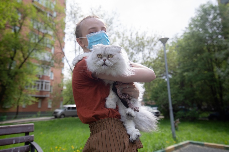 Девушка в медицинской маске гуляет с кошкой