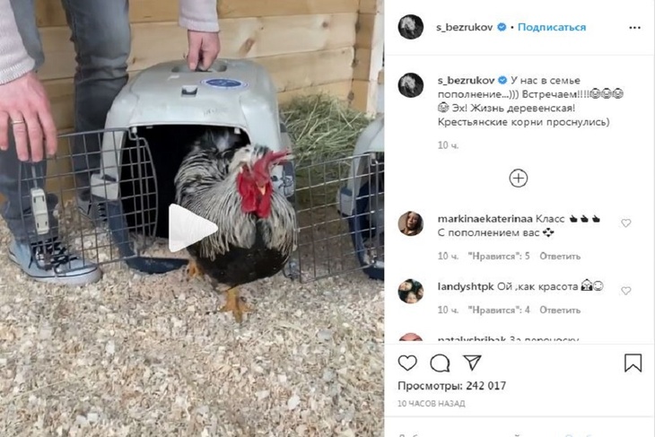 Актер продемонстрировал на видео новых «членов семьи».