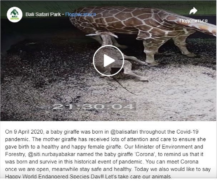 Малыш родился в апреле – в разгар пандемии.