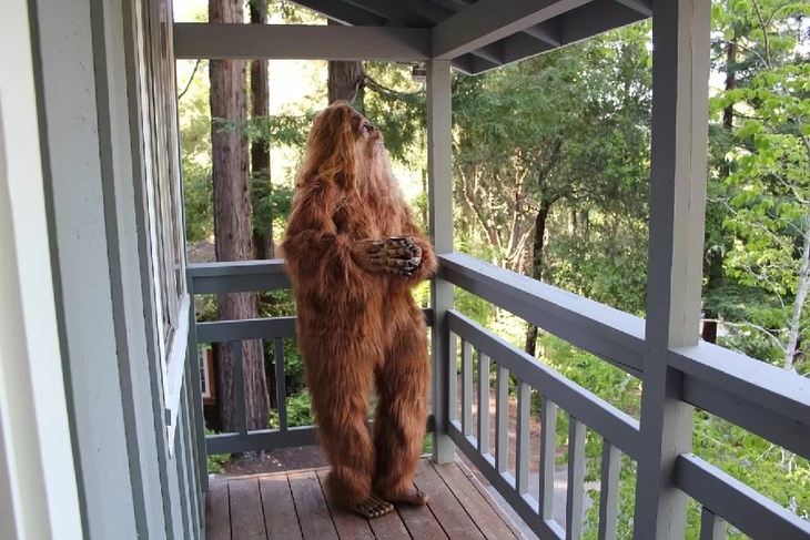 Резиденция йети: в США выставили на продажу особняк снежного человека Резиденция йети: в США выставили на продажу особняк снежного человека