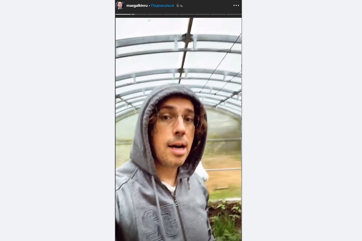 Максим Галкин в теплице