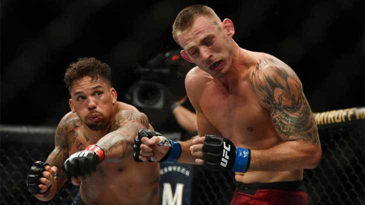 Верна спорт