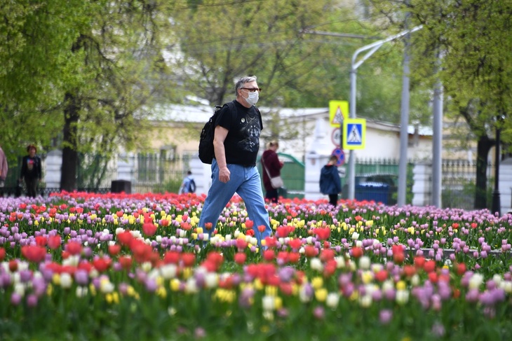 Самоизоляция и весна
