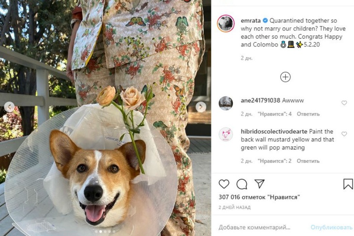 Эмили Ратаковски устроила «собачью свадьбу»