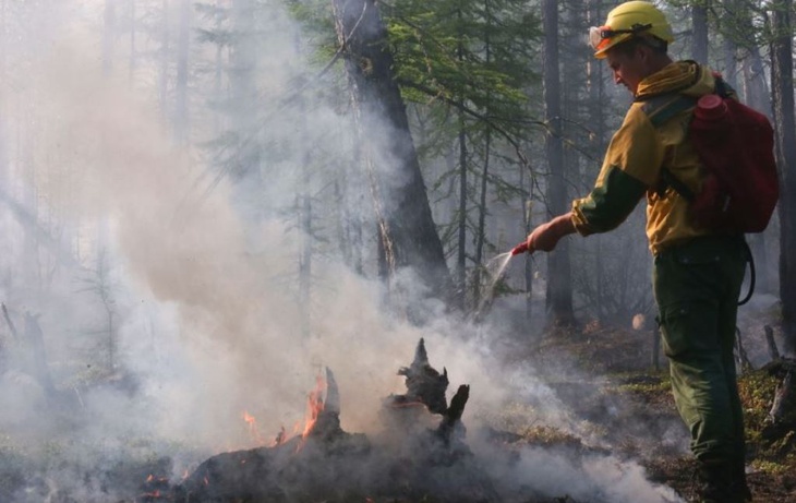 В России потушили несколько сотен лесных пожаров за неделю