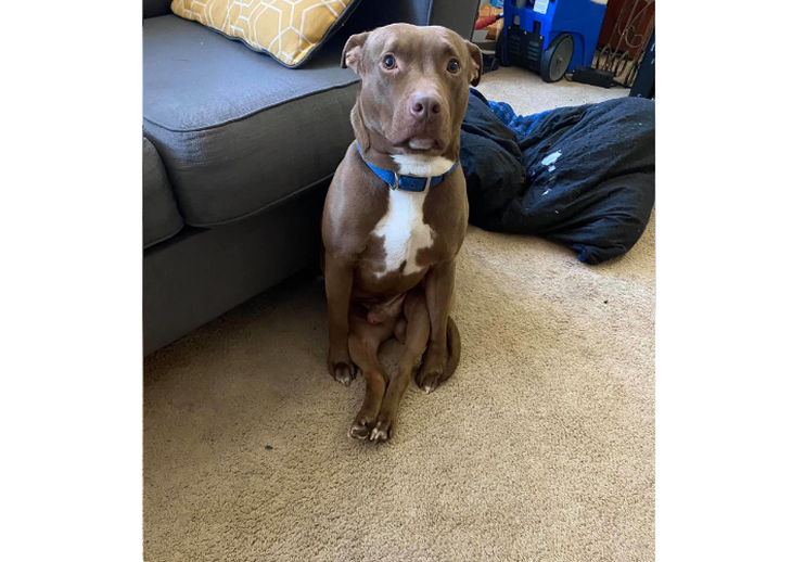 Запись в Twitter @ohmyitsbrittt