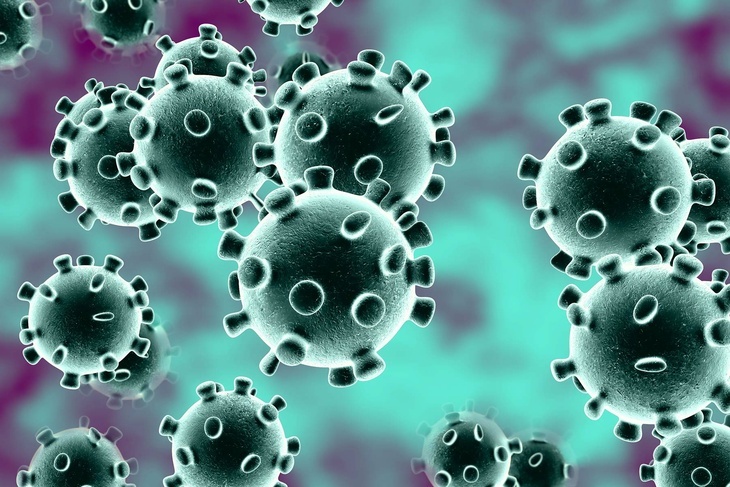 Экс-глава разведки Британии озвучил теорию происхождения коронавируса