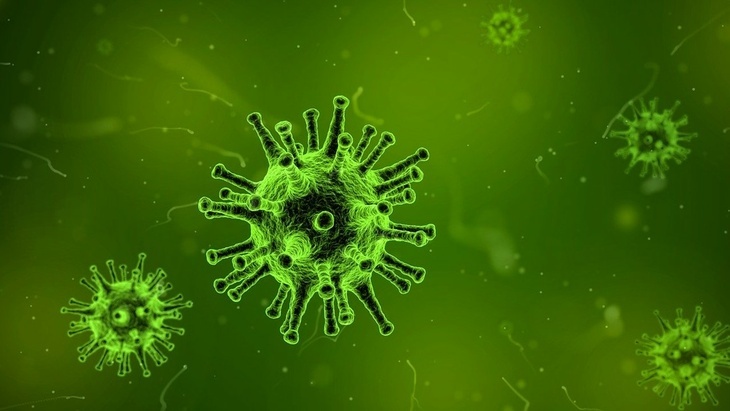 Ученый: «Скорее вирусы избавятся от нас, чем мы от них»