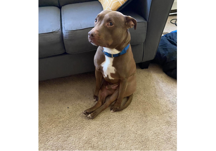 Запись в Twitter @ohmyitsbrittt