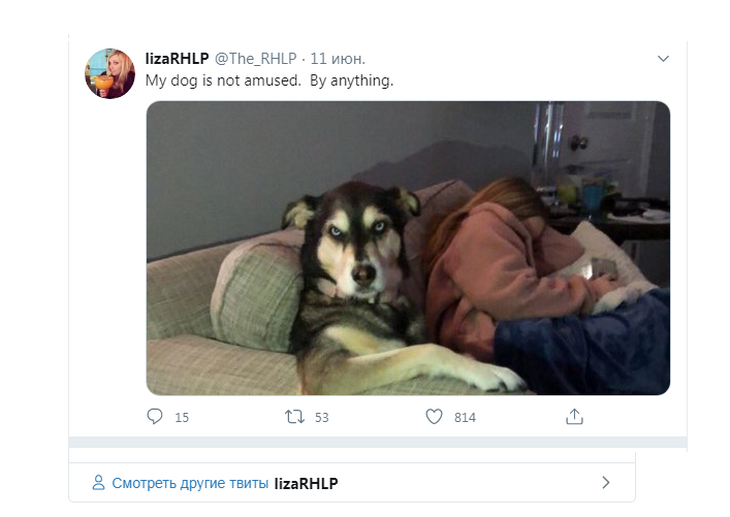 Запись в Twitter @The_RHLP