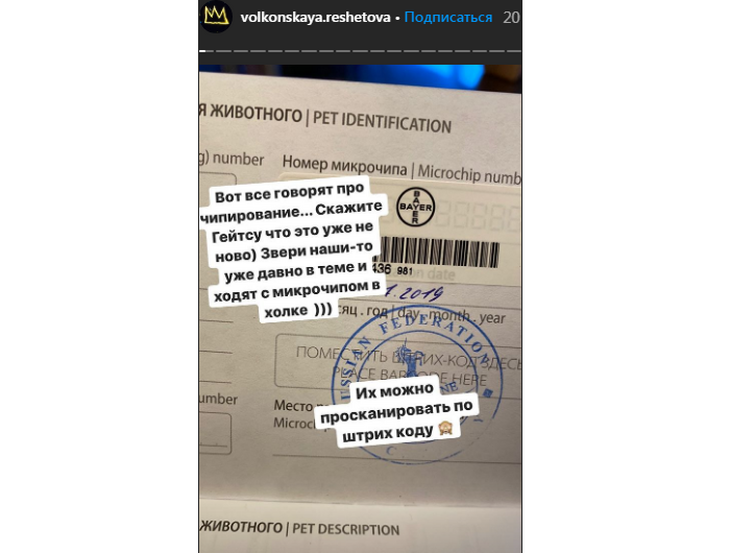 Публикация Анастасии Решетовой в сториз Публикация Анастасии Решетовой в сториз