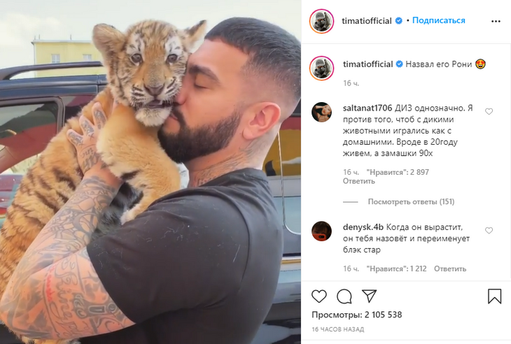 Тимати с дикой кошкой