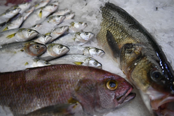 Эксперты Роскачества назвали опасные для человека виды рыбы