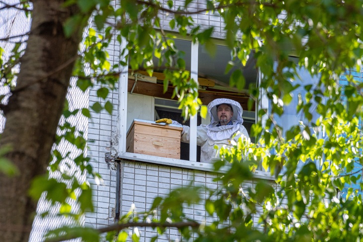 «Решили вызвать спасателей»: жители многоэтажки оказались в заложниках у роя пчел