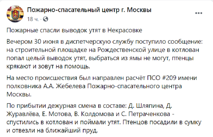 Спасатели, вперед: московские пожарные выручили из беды утят и кота