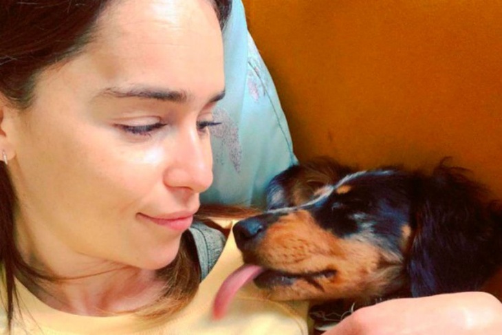  Любовь к собакам: как помощник режиссера завоевал сердце Эмилии Кларк