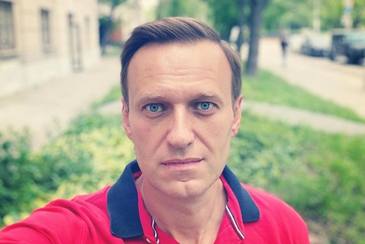 Политолог Марков назвал мотивы Германии в истории с Навальным