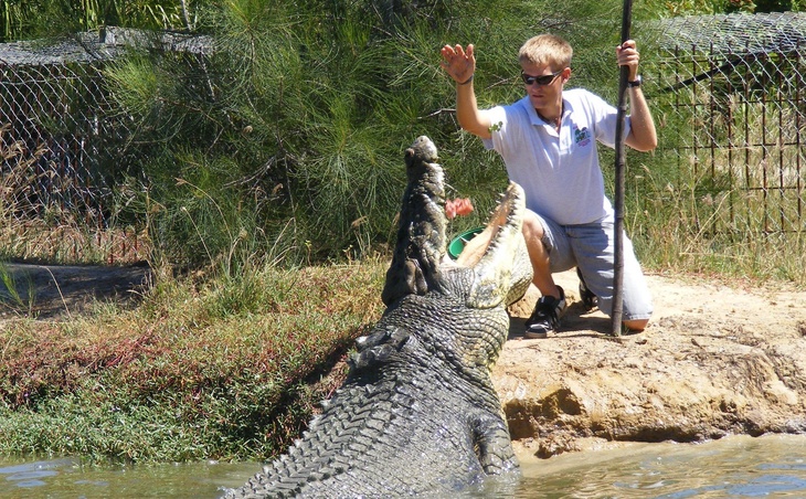 Был добрым и не ел людей: умер 100-летний гигантский крокодил