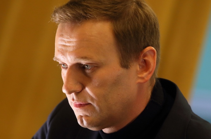 Отравление Навального: факты и мнения