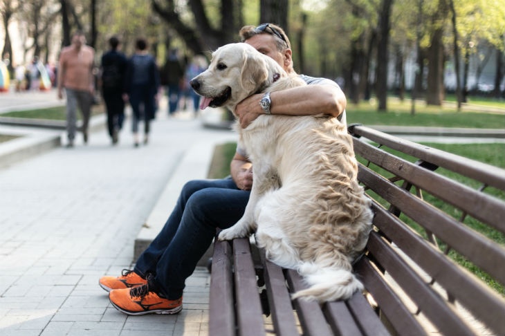 С 2021 года россиян обяжут маркировать домашних животных
