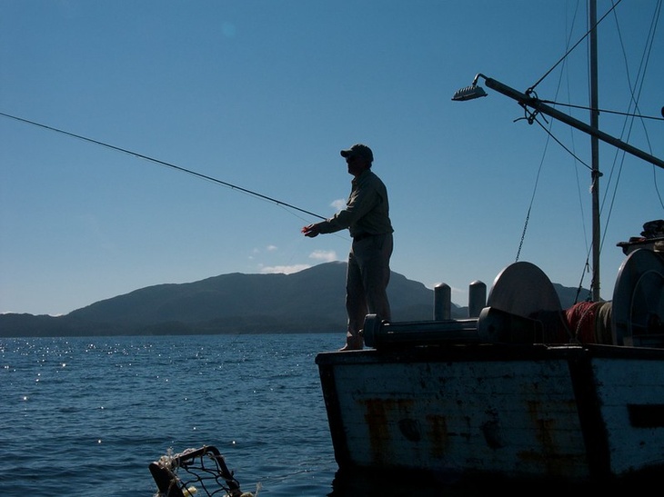 Чудо-юдо Рыба-кит: рыбаки поймали пугающую химеру