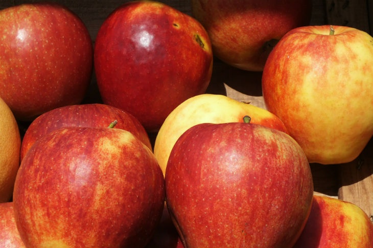 Эндокринолог рассказал, когда яблоки вредны для худеющих