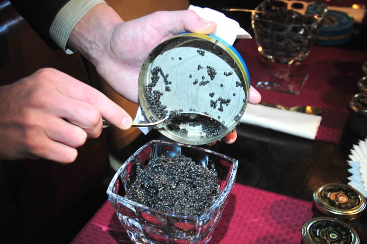 Черная икра