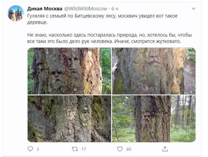 Дерево-мутант из «Властелина колец» до смерти перепугало москвичей