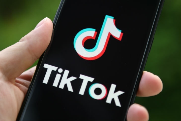 В России решили создать свой отдельный TikTok