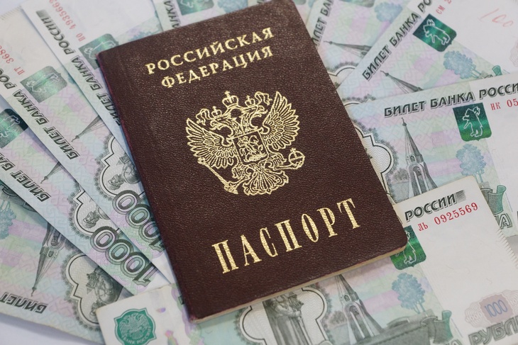 Базовый доход станет соцвыплатой за российское гражданство — эксперт