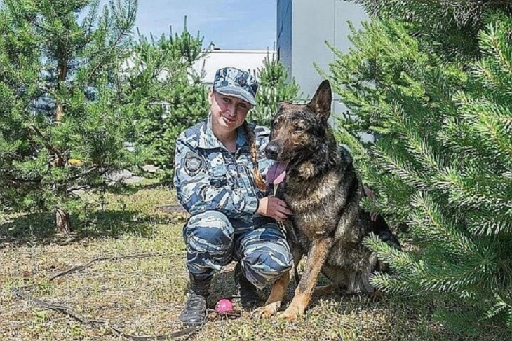 Его служба и опасна, и трудна: пес спас девочку от изнасилования