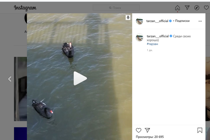 «Среди своих хорошо»: Глушко впервые вышел в свет после скандала