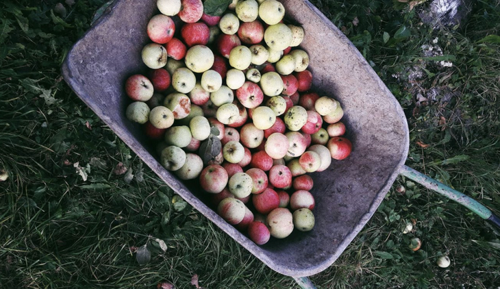 «Интересно, но трудно»: чем угощают в локаворских ресторанах