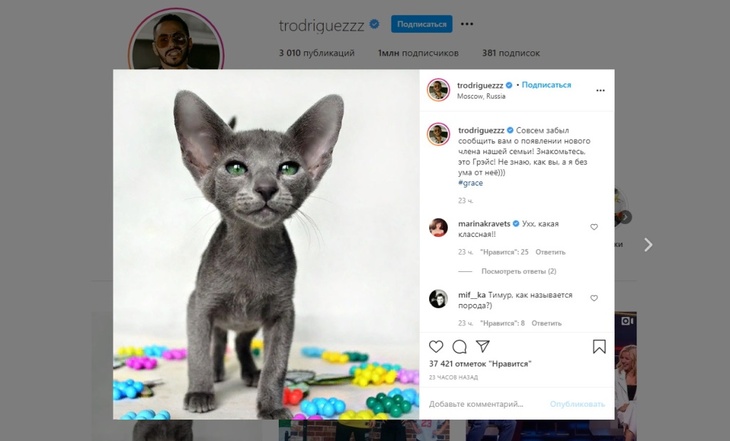 «Я от нее без ума»: Тимур Родригез сообщил о пополнении в семье