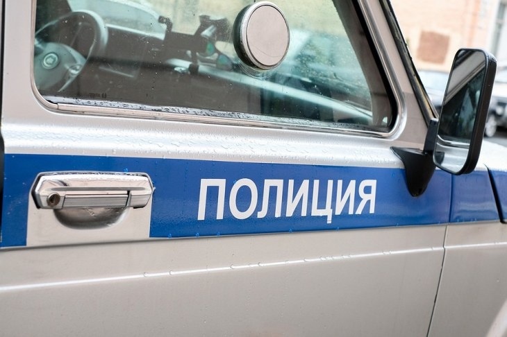 Житель Санкт-Петербурга устроил ню-фотосессию на полицейской машине