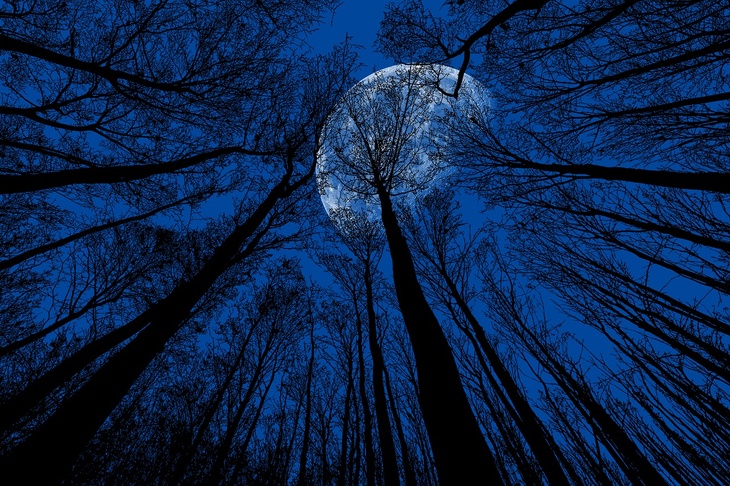 «Голубая Луна» взойдет над Россией в ночь на Хэллоуин
