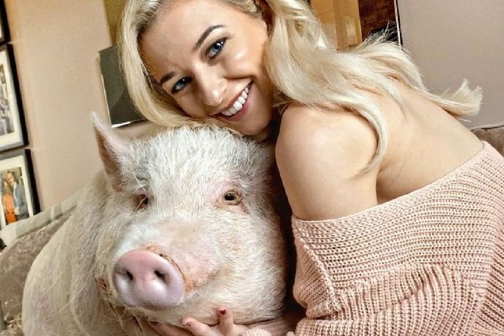 «Он мне как ребенок!»: блогер завела 80-килограммового свина