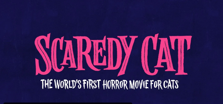 Одиночество и огурцы: в сети выйдет первый ужастик для котиков