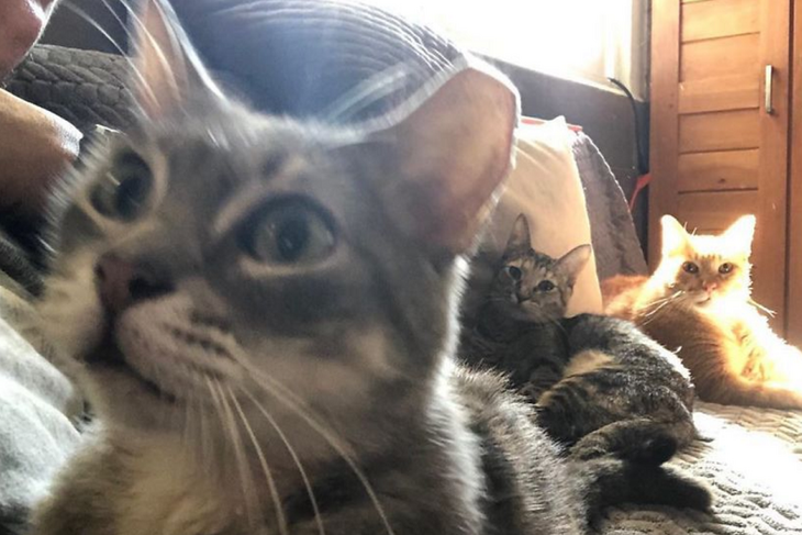 Ковчег на дому: мужчина спас от урагана 300 животных