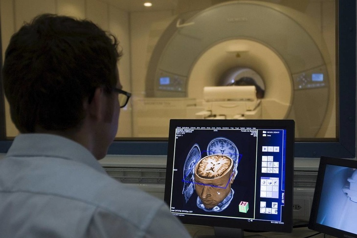 Неизвестный науке орган обнаружен в мозге человека