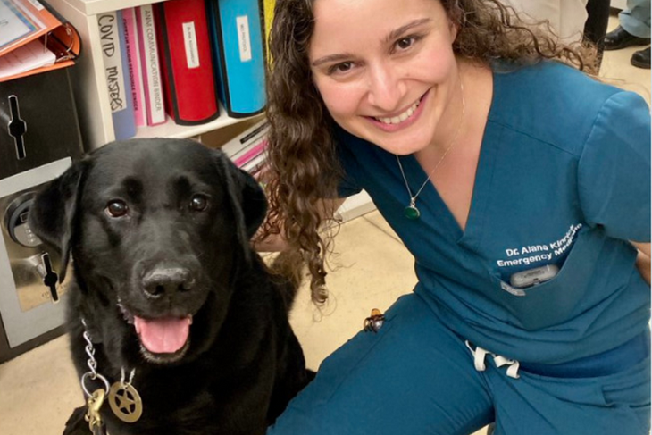  Хвостатый медбрат: пса приняли на работу в больницу