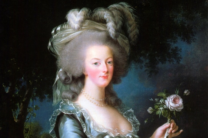 Висело 40 лет: семья нашла зеркало французской королевы в своей ванной