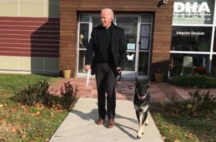 Первые морды: в американский Белый дом возвращаются собаки