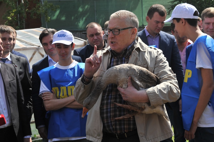 «Долой фермеров!»: Жириновский нашел источник бед в сельском хозяйстве