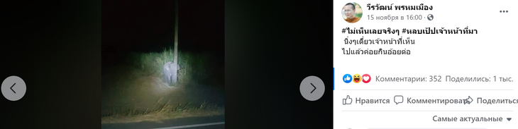 «Сохраняйте спокойствие»: фото виноватого слоненка попало в Сеть