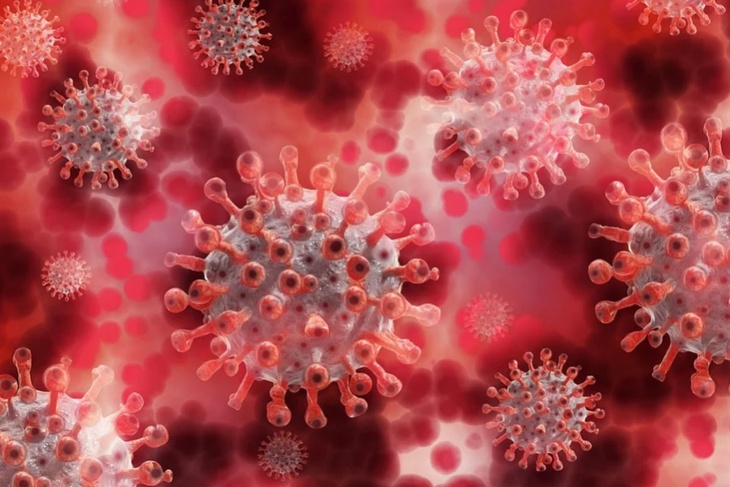 Взрослые и дети вырабатывают разные антитела к коронавирусу