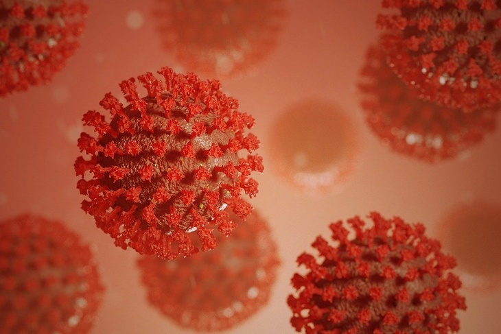 Глава «Вектора» оценил мутации коронавируса и гриппа